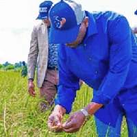 Agricultural